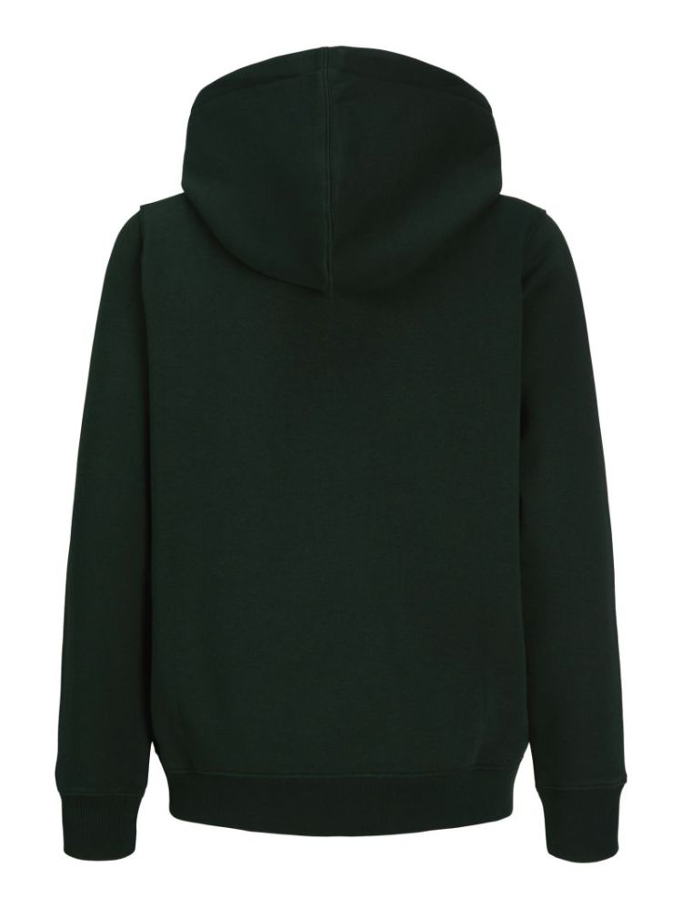 Sweater J&J JUNIOR 177578 Scarab