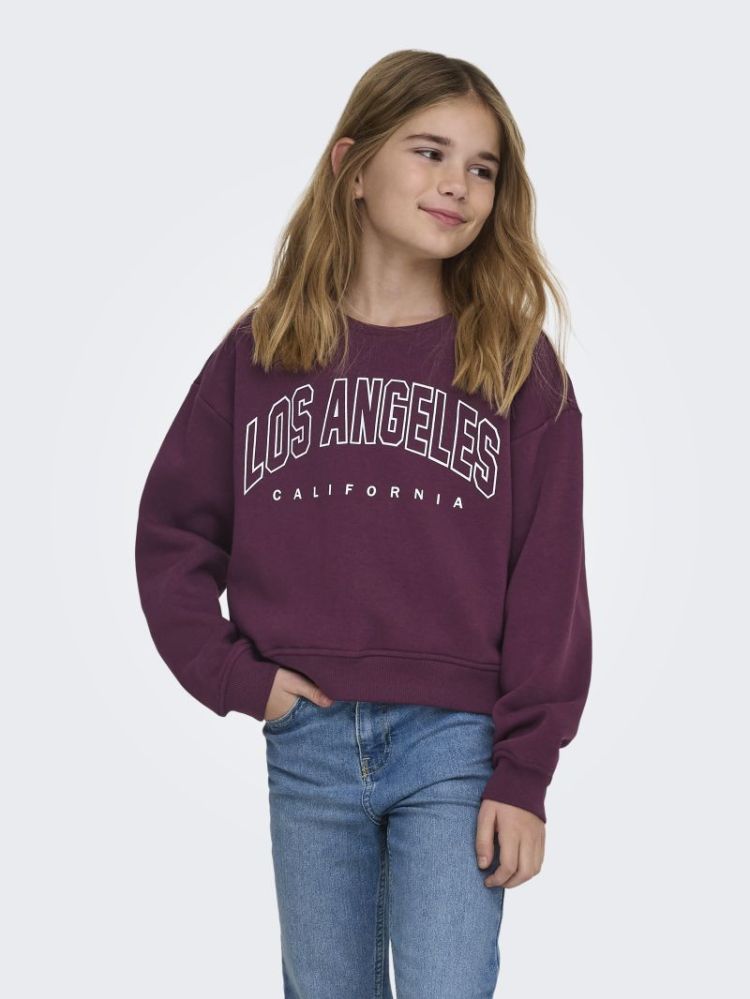 Sweater ONLY KIDS 2944150 Mauve W