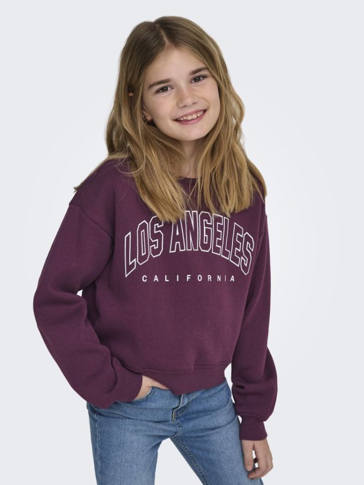 Sweater ONLY KIDS 2944150 Mauve W