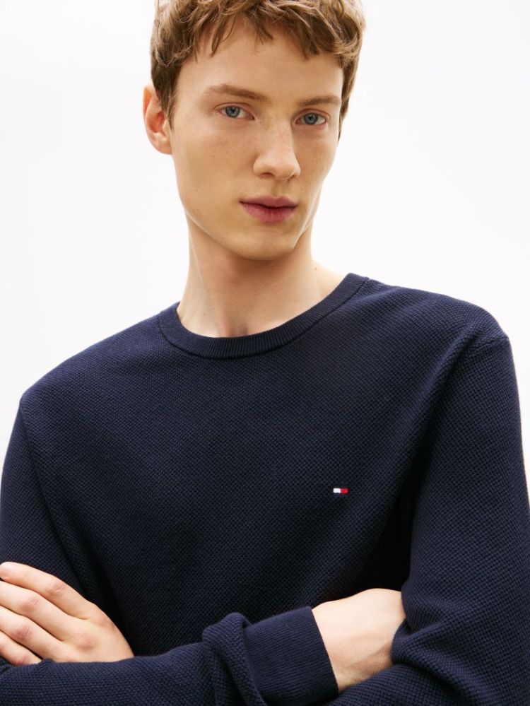 Pull TOMMY HILFIGER DW5 DESERT SKY