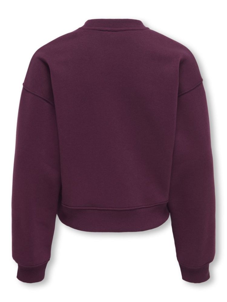 Sweater ONLY KIDS 177912 Fig