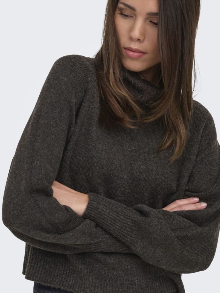 Pull ONLY 206971001 Mole/