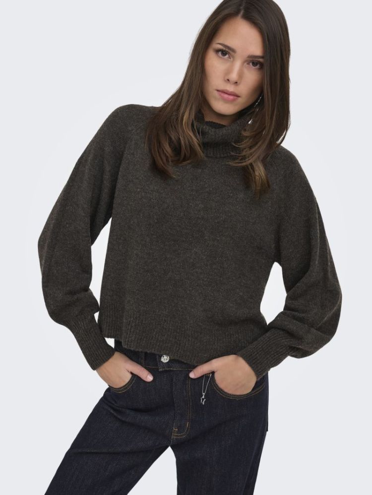 Pull ONLY 206971001 Mole/