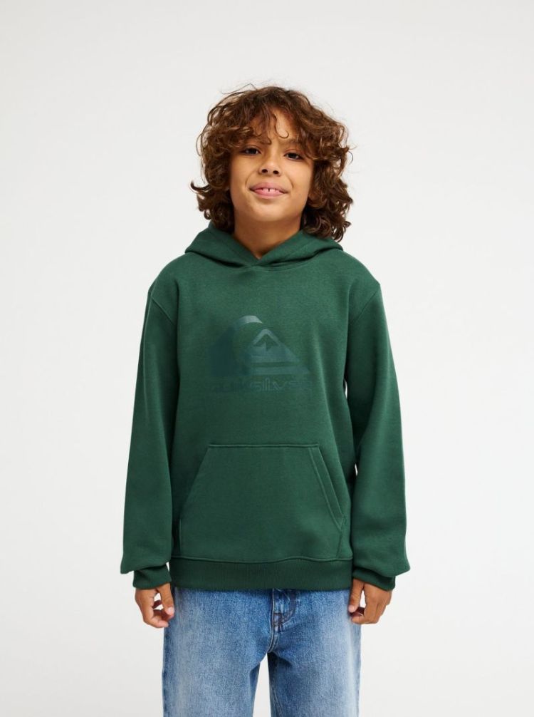 Sweater QUIKSILVER GRT0 FOREST