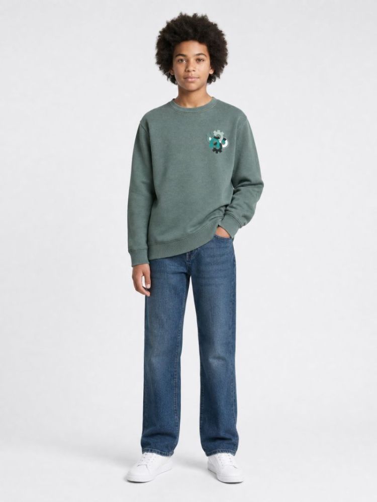 Sweater PETROL 6185 STEEL GREE