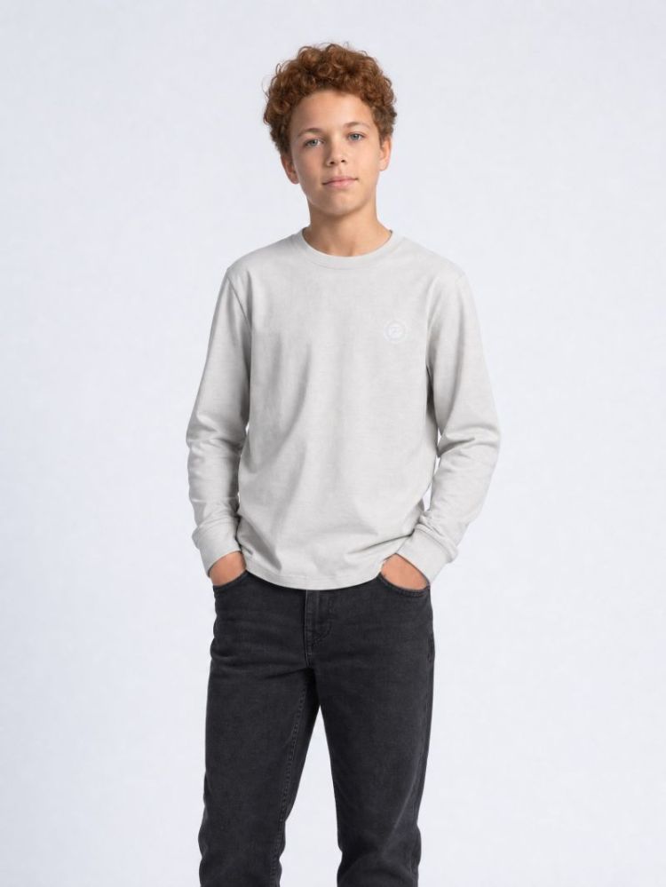 T-shirt PETROL 9115 ICE GREY