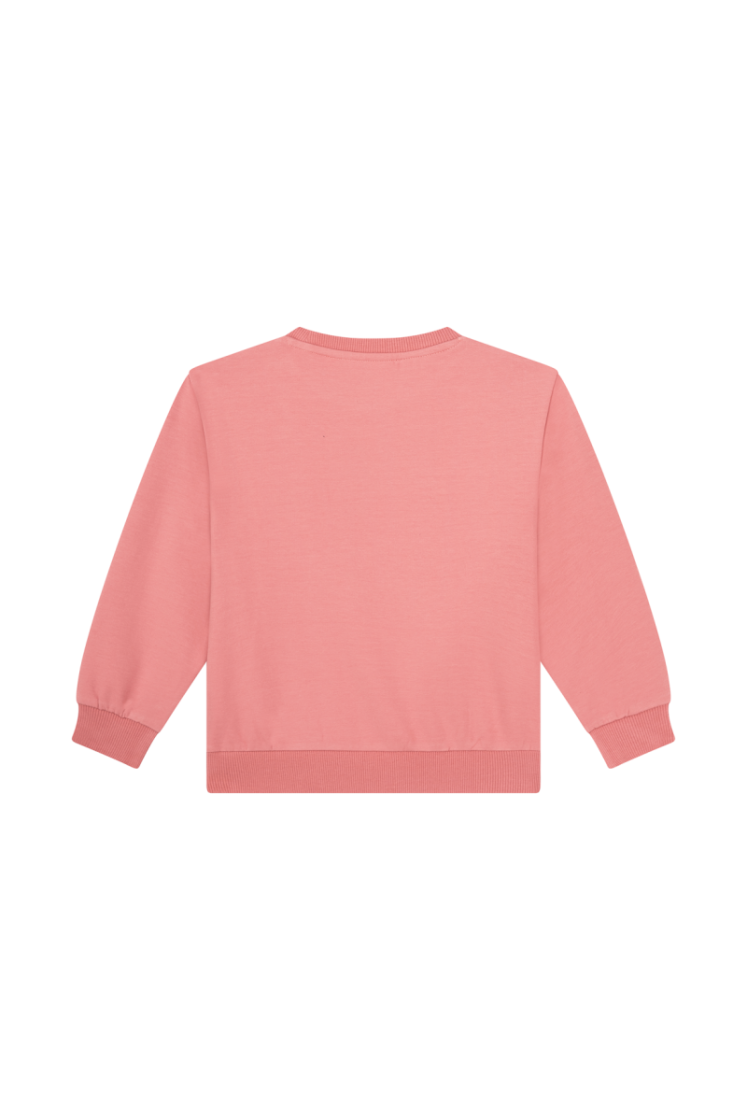 Sweater SOMEONE OP OLD PINK