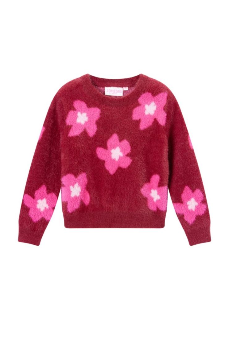 Pull SOMEONE BO BORDEAUX