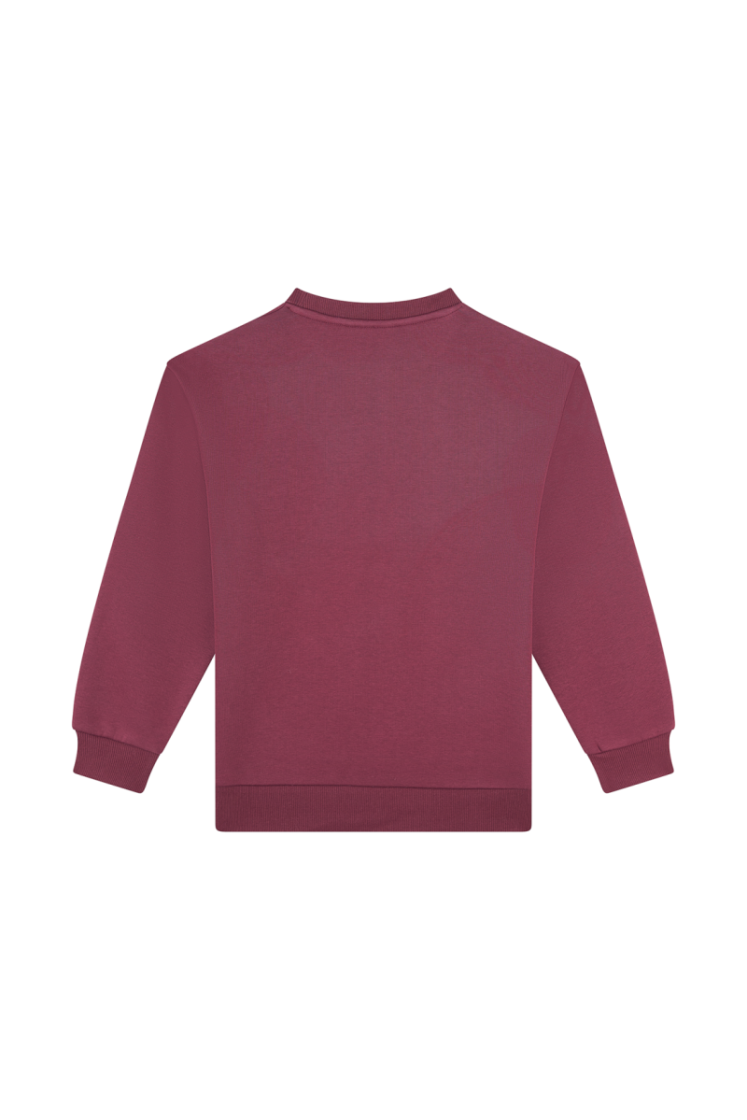 Sweater SOMEONE DBN DARK BROWN