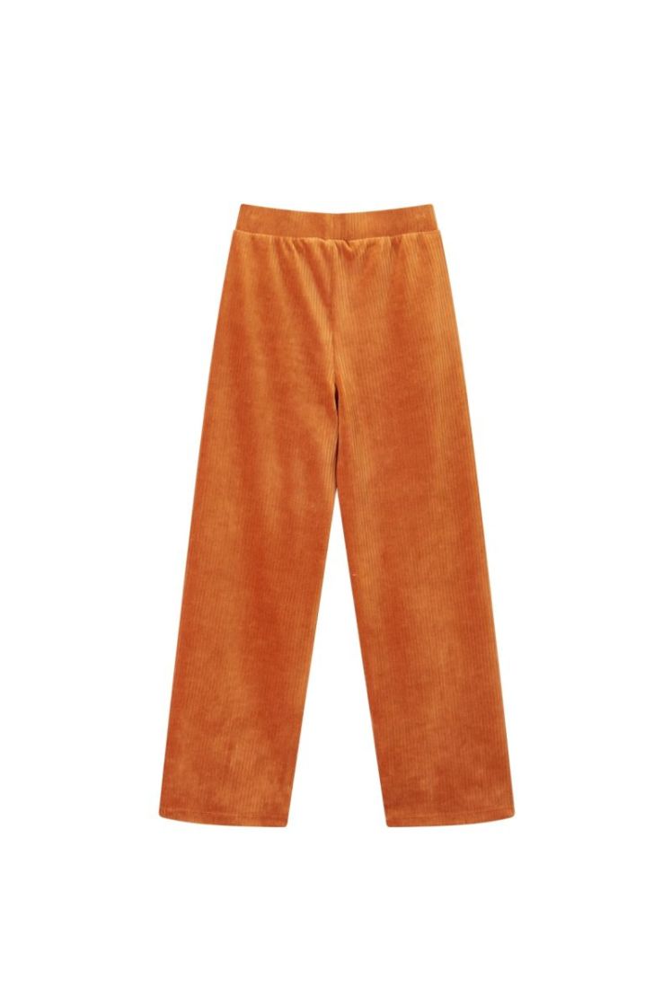 Broek SOMEONE C COGNAC