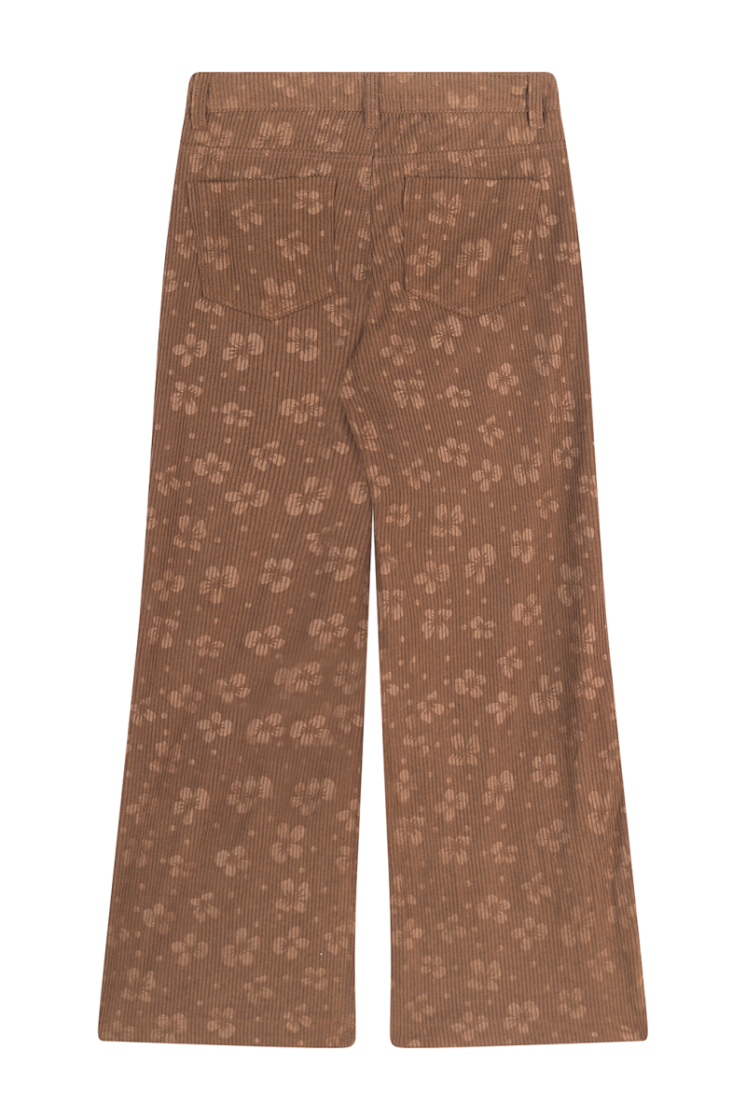 Broek SOMEONE BN BROWN