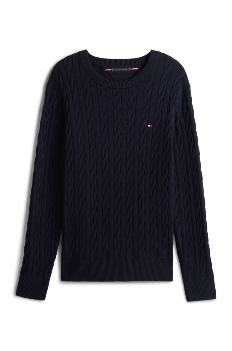 Pull TOMMY HILFIGER DW5 NAVY BLUE
