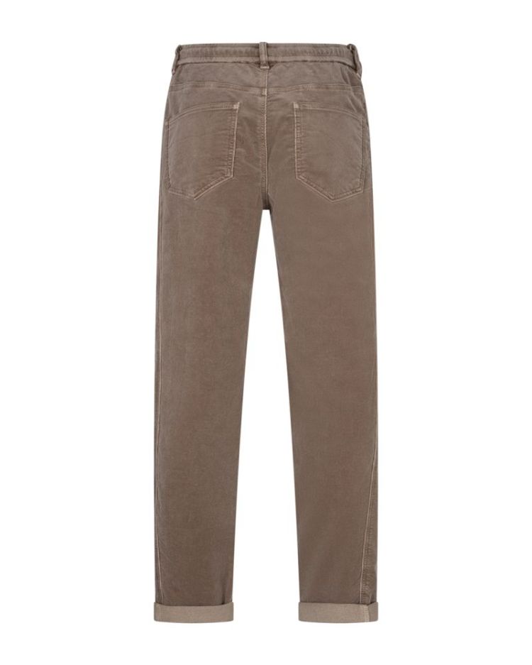 Broek RED BUTTON 319 Mud