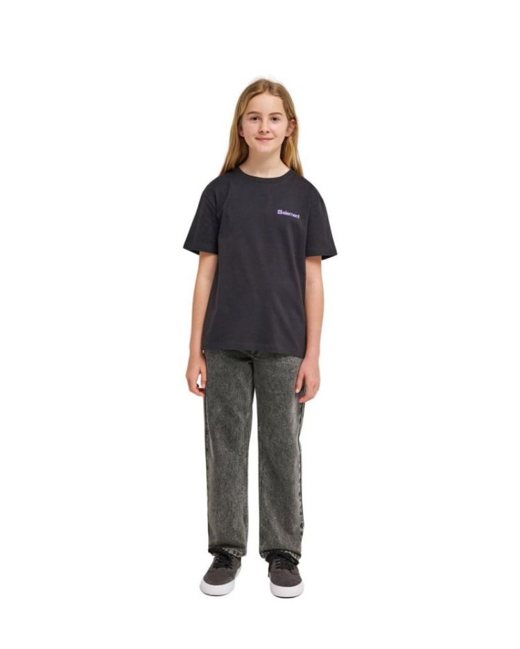 Jeansbroek ELEMENT SLYW MID GREY T