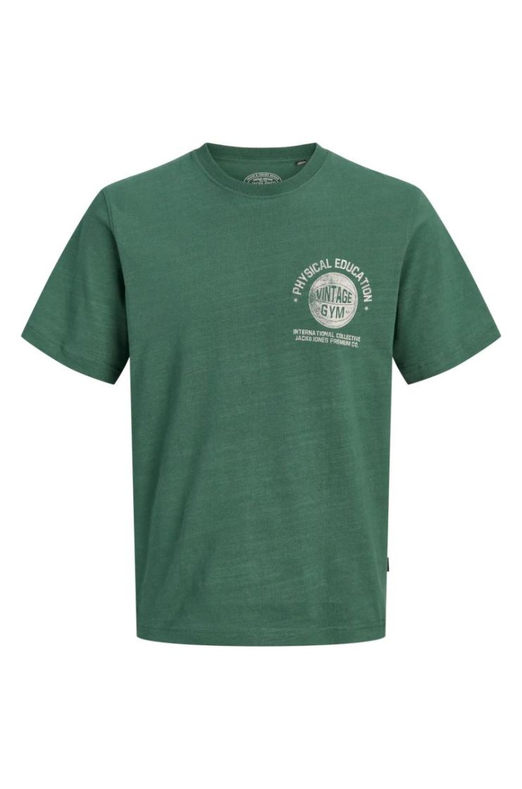 T-shirt J&J JUNIOR 176274 Pineneed
