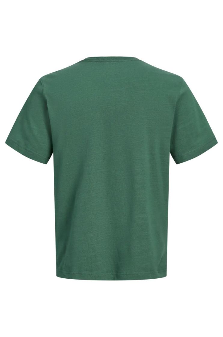 T-shirt J&J JUNIOR 176274 Pineneed