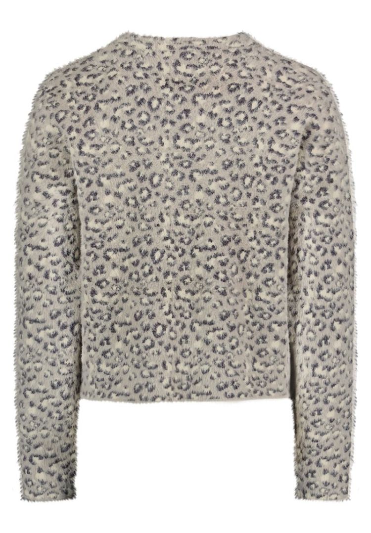 Gilet BETTY BARCLAY 9973 Patch Grey