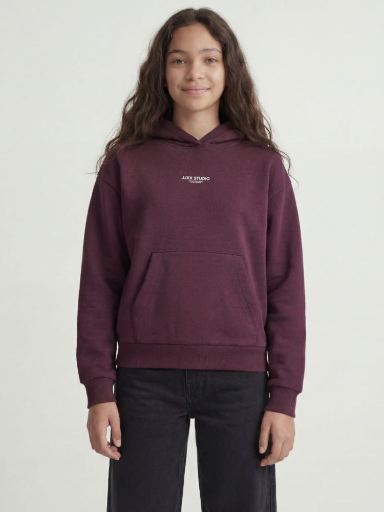 Sweater JJXX 176841001 Winet