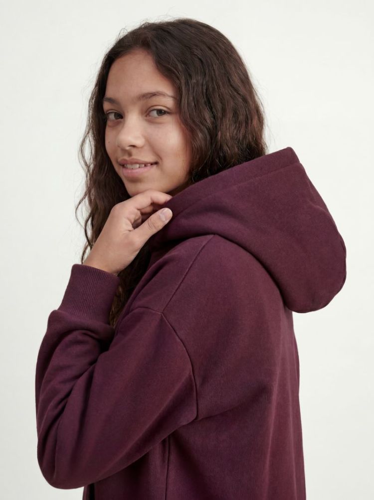 Sweater JJXX 176841001 Winet