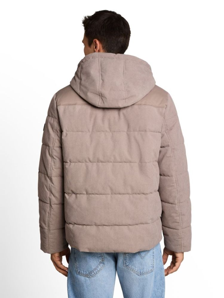 Jas TOM TAILOR 10359