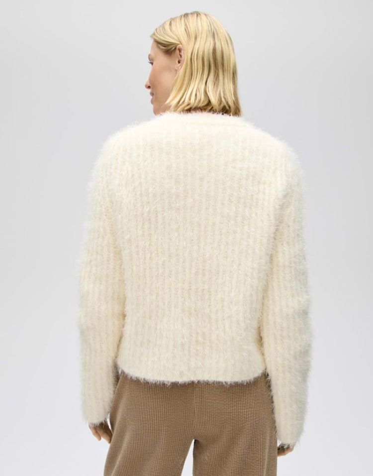  1006 soft cream