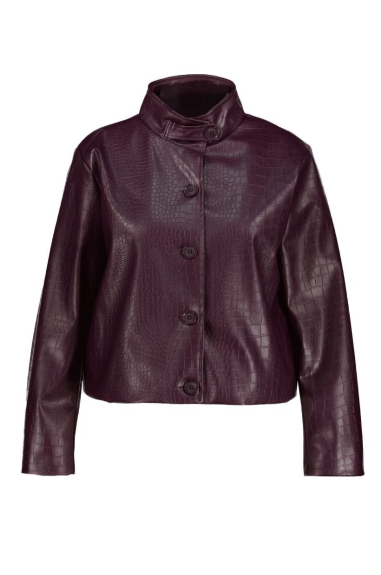  AUBERGINE