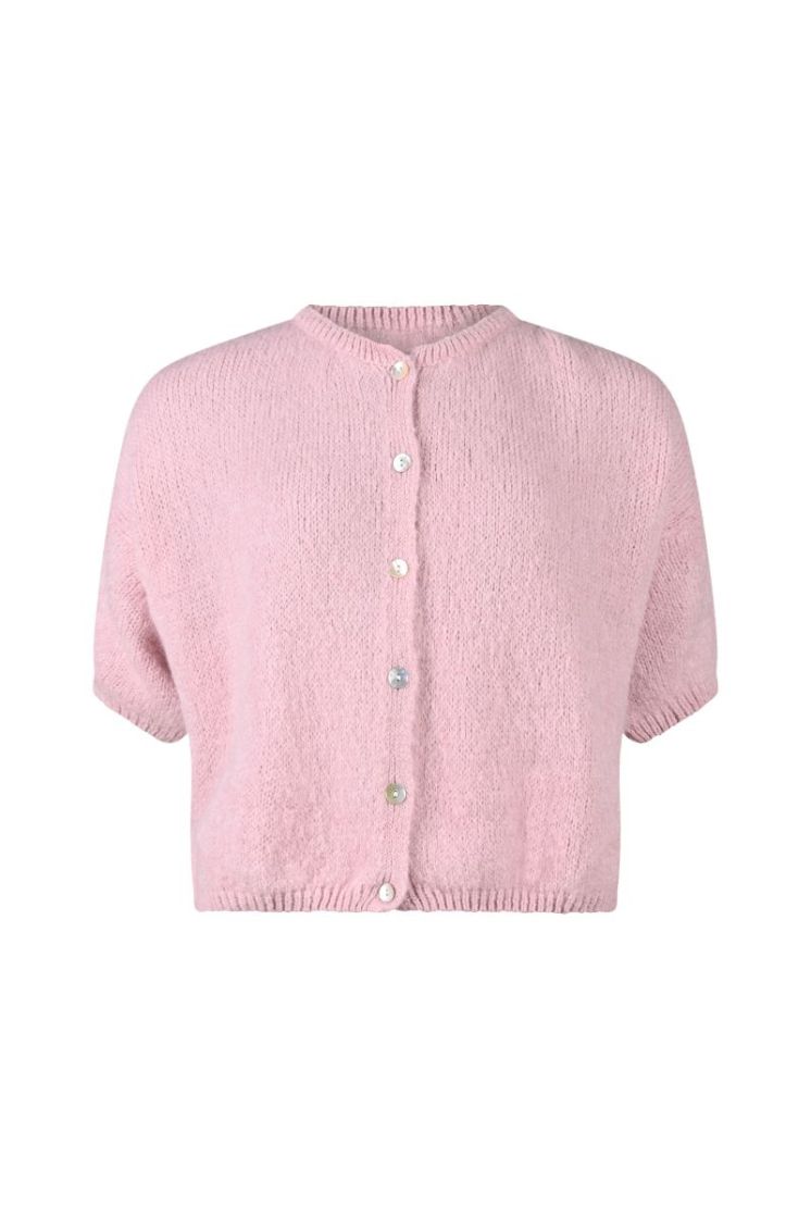  L ROZE