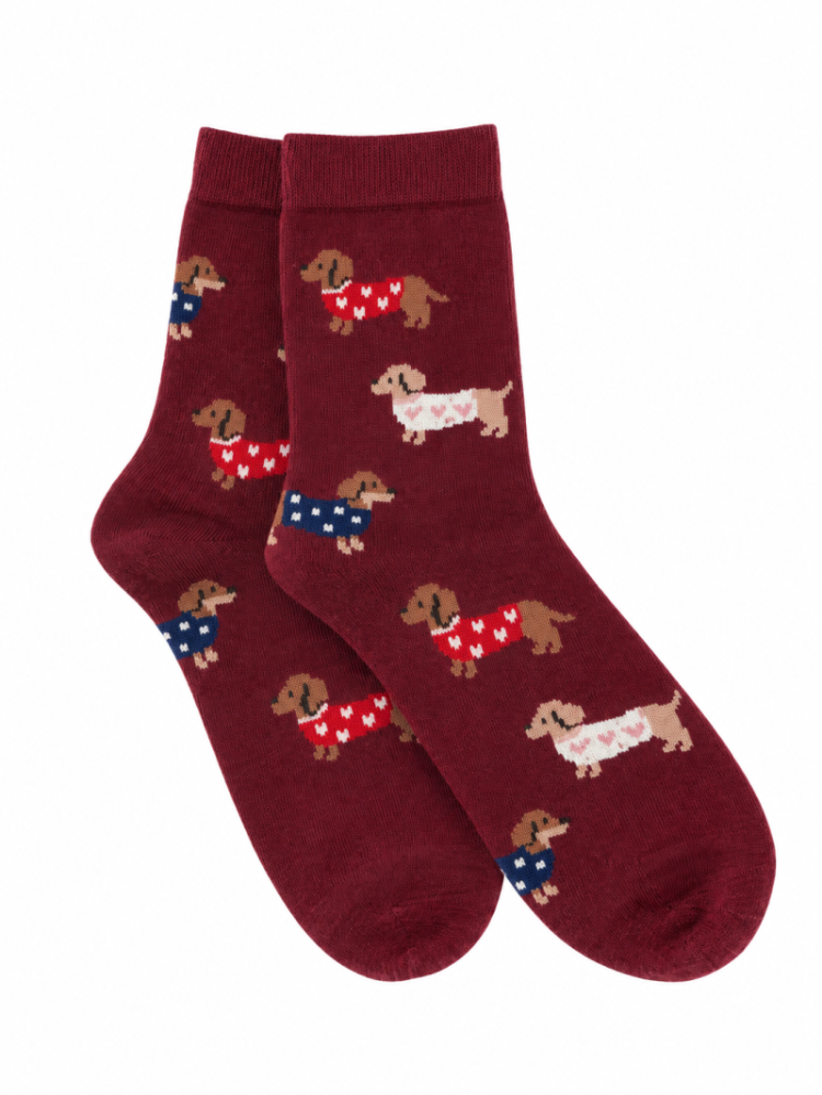  23 D ROOD